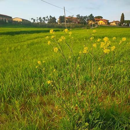 Rustichello G&p Tuscany Apartman *
